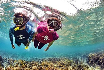 Private snorkeling tour